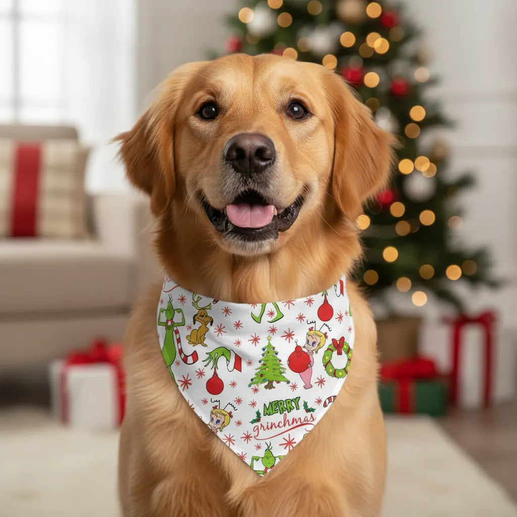 Holiday Family Christmas Pajamas Set With Funny Xmas Character Pattern Print