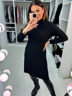 Kalina Ribbed High Neck Knit Dress