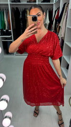 Tasmin Sequin Shirred Waist Midi Dress